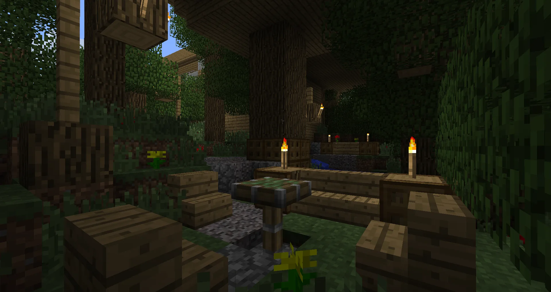Forest settlement