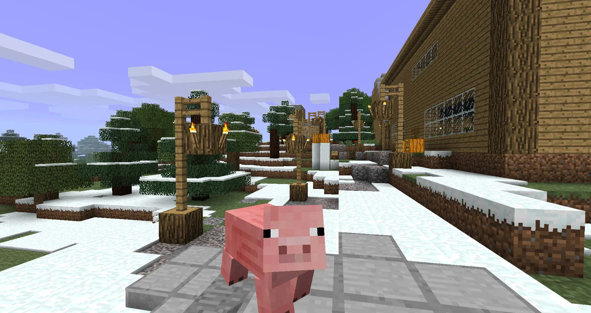 Path with a pig